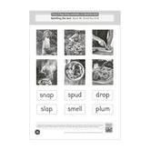 Dandelion World Extras Stages 8-15 Reading & Writing Activities Workbook